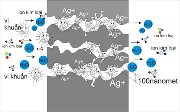 Nano bạc bao bọc và ức chế sự phát triển của vi khuẩn