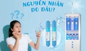 Nước có vị khó uống do màng T33 hết tác dụng