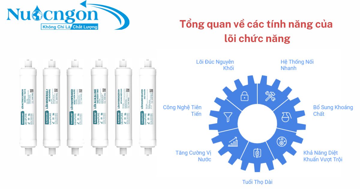 Tổng quan về các tính năng của bộ lọc chức năng Sunhouse