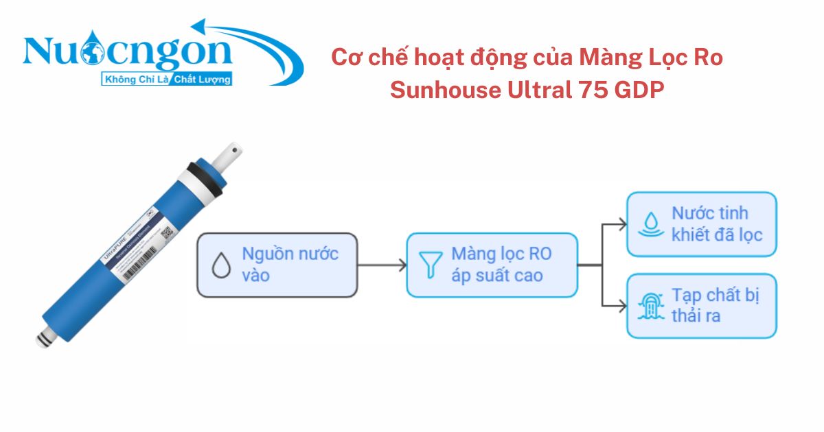 tsp Co che hoat dong cua Mang Loc Ro Sunhouse Ultral 75 GDP