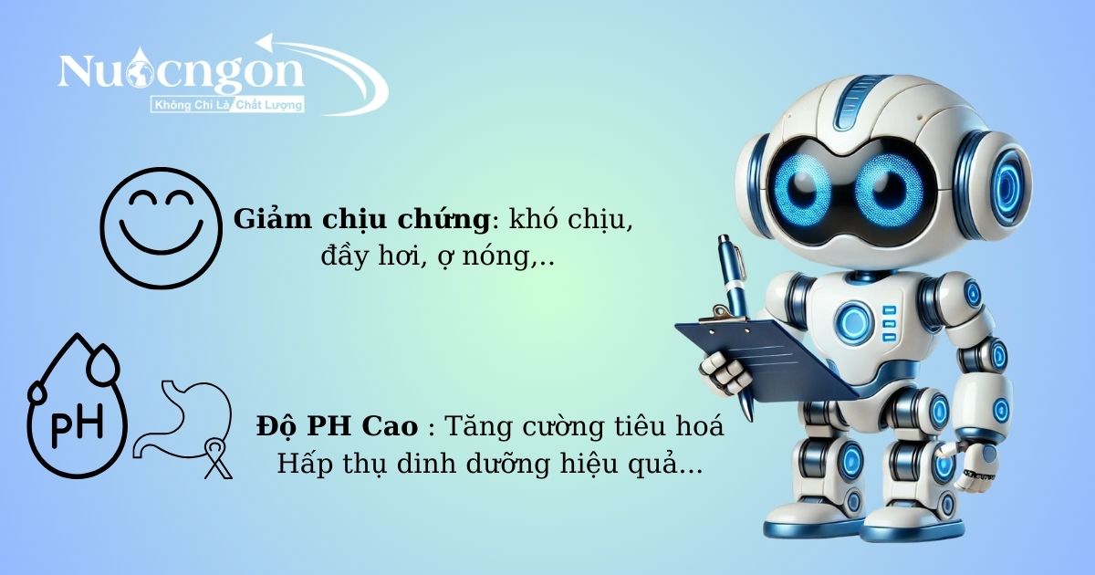 Hỗ trợ tiêu hoá