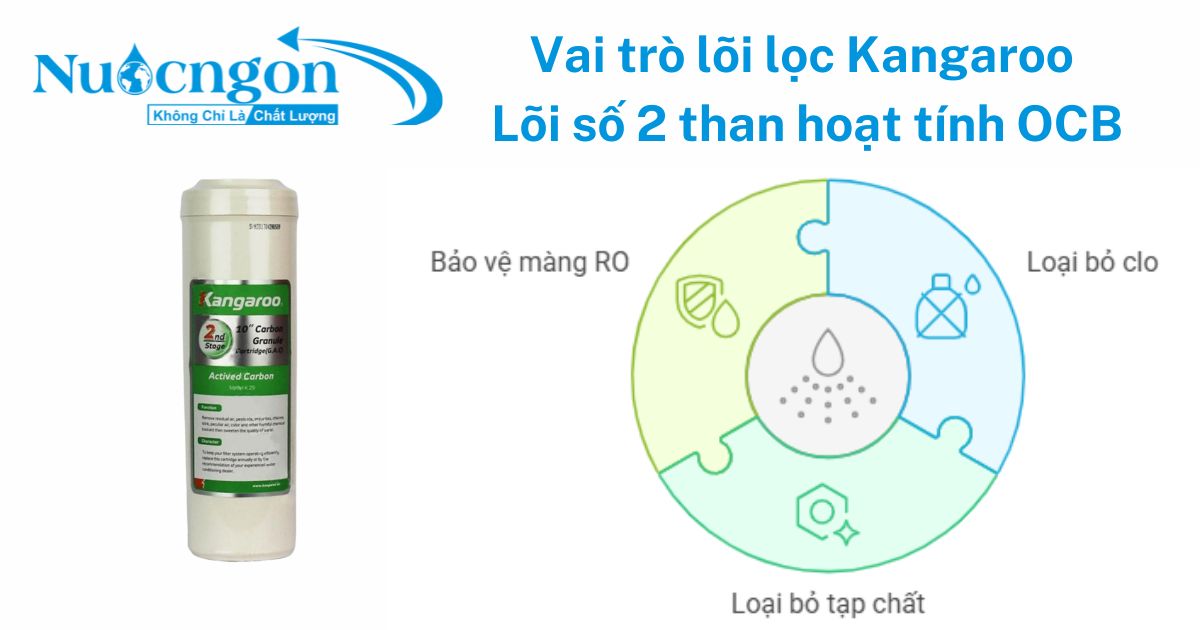 Vai trò của lõi số 2 than hoạt tính OCB